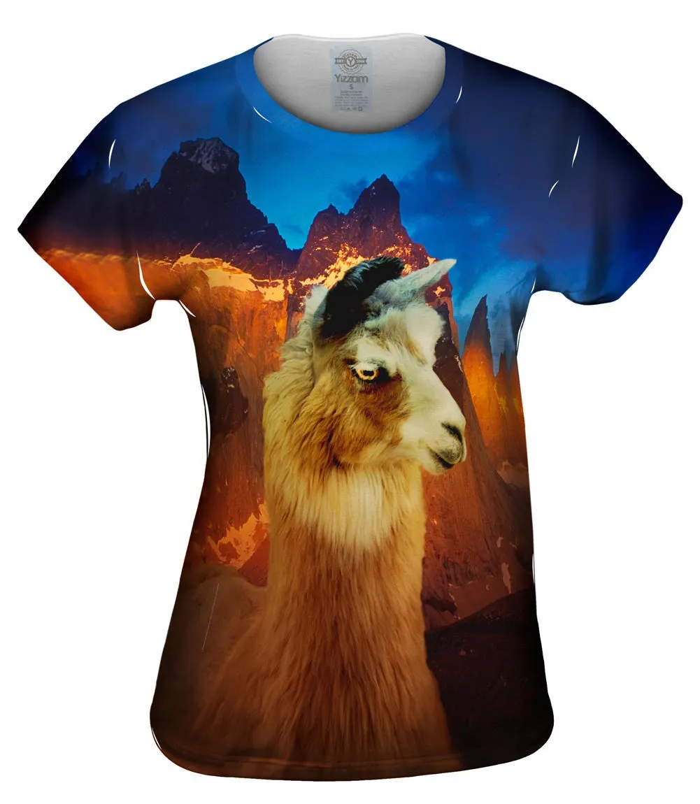 Andes Llama Sunset