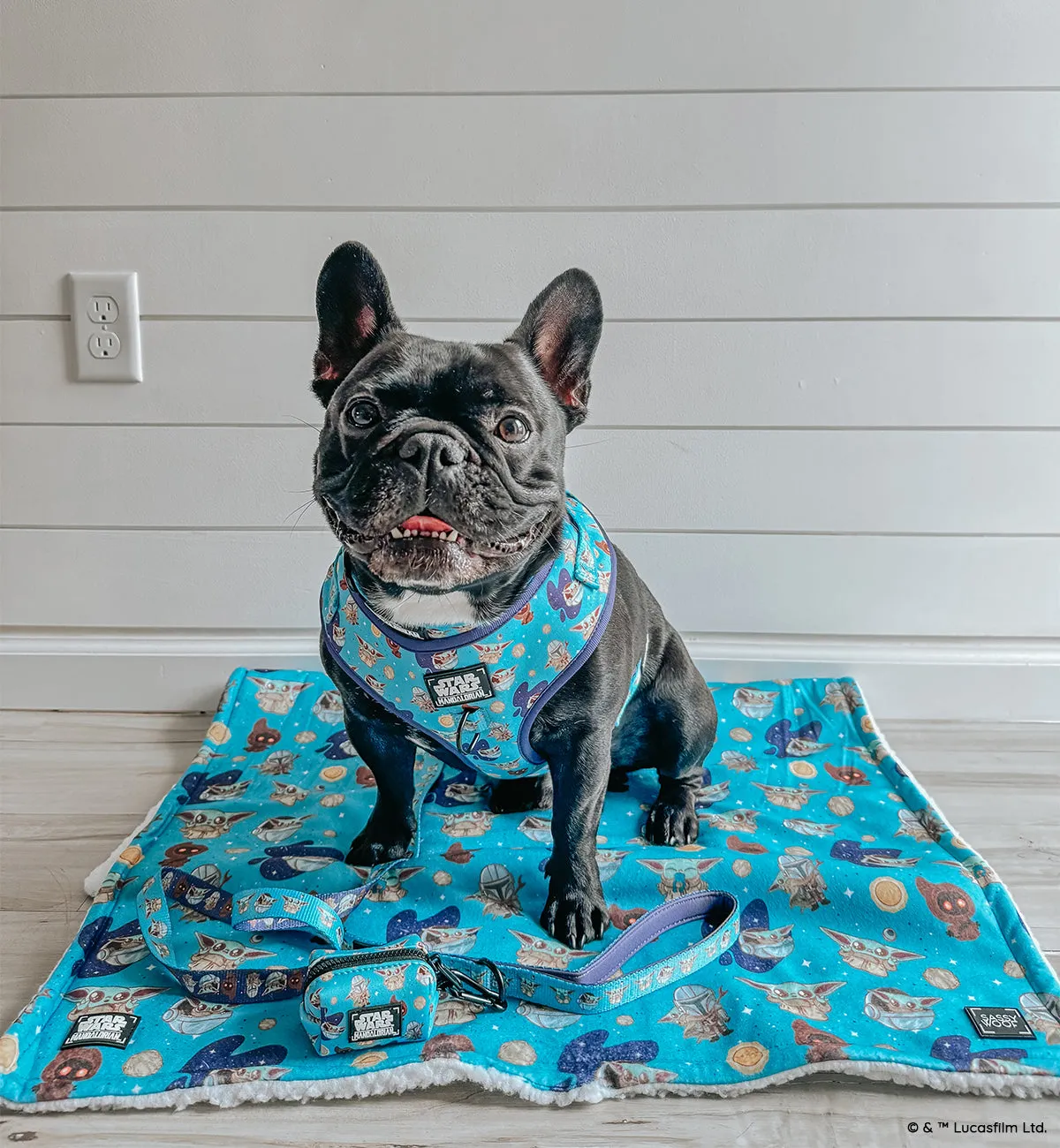 Dog Blanket - STAR WARS™ The Mandalorian™